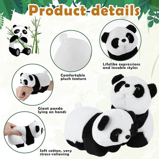Panda Hug Band